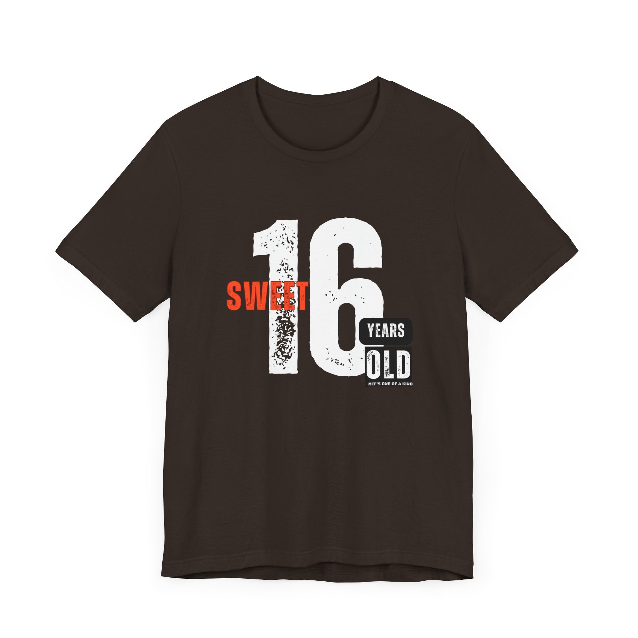 16year Old Unisex Adult Tee